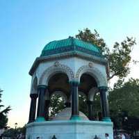 Поилка :: Savayr Поилка :: Savayr