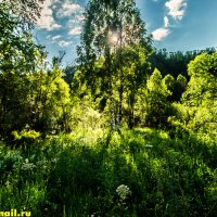 оо :: HART BAD