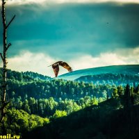 оо :: HART BAD