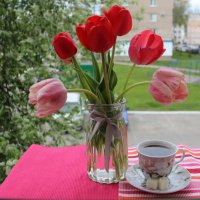 Май :: Венера Чуйкова Май :: Венера Чуйкова
