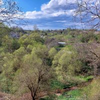 На склонах оврага весна! :: Наталья Лунева 