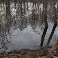Приток Илети - река Плэр :: СЮ Приток Илети - река Плэр :: СЮ