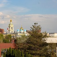Вид на Ново - Спасский монастырь :: Олег 