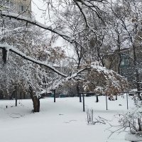 Апрель-26. Последний снегопад :: Людмила Фил
