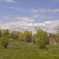 Степь. :: Виктор Степь. :: Виктор