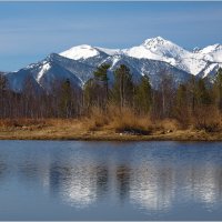 Заснеженный Хамар-Дабан :: Студия фотографии
