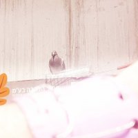 14  КЛОС (216) :: CLOSE WAYS ALL