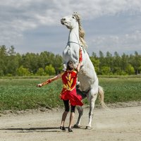 Конь :: SanSan 