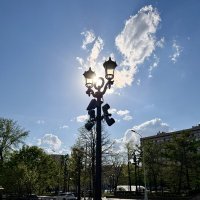 Прогулка по городу :: Pippa 