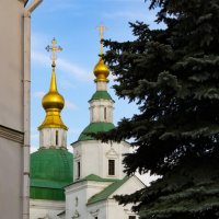 В Даниловом монастыре :: Олег 