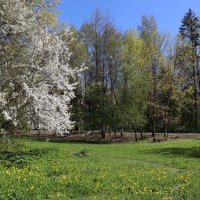 За углом дома... :: Наталья Лунева 