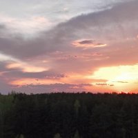 щука врезалась :: Владимир 