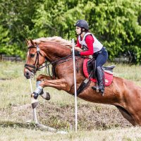 Кросс :: SanSan 