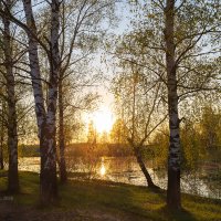 Майская природа :: Александр Синдерёв