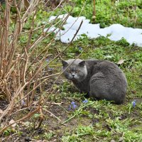 Гость :: Вадим 