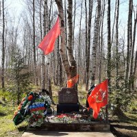 9 мая 2021 года. Синявино :: Наталья Герасимова