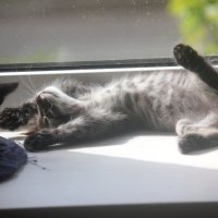 Жизнь прекрасна :: Сергей Кочнев