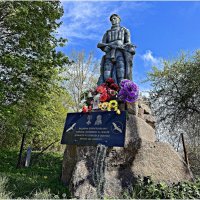 Павшим новосёловцам. :: Валерия Комова