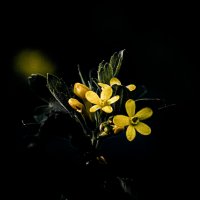 Так получилось :: Sergei Vikulov