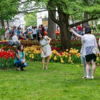 В городском парке города Гомель :: Игорь Сикорский