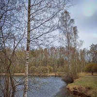 Весна. Парк Сосновка. :: Лилия *
