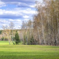 Ранняя весна... :: Влад Никишин