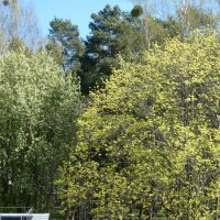 Весна в городе.Вид через балкон :: rimgis