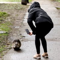 Улыбочку :: Юрий. Шмаков Улыбочку :: Юрий. Шмаков