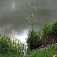 Май не слишком нарядный и даже не очень теплый :: Андрей Лукьянов