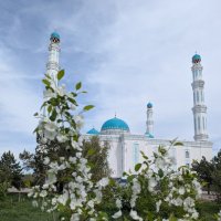 Яблони в цвету :: Андрей Хлопонин
