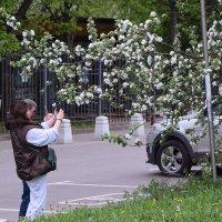 Фотографы Весны :: Олег 