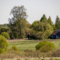 Где-то в Брянской области :: Sergei Vikulov