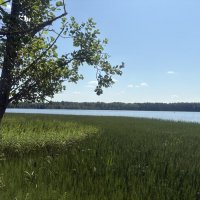 Святое Дымское озеро...Антониево-Дымский монастырь :: Наталия Павлова