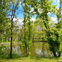 Весна в ростовском зоопарке :: Нина Бутко Весна в ростовском зоопарке :: Нина Бутко
