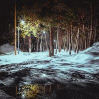 ... :: Жора Житников