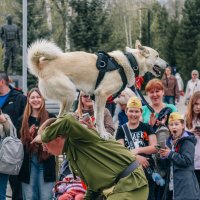 Выступление с собакой на патриотическом мероприятии :: Роман Григорьев