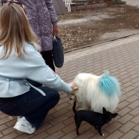 *** :: Валентина Береснева