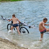В жаркий день на водоеме. :: Михаил К
