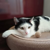 Мальчик в шапочке) :: Ирина *