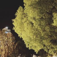 14  КЛОС (247) :: CLOSE WAYS ALL