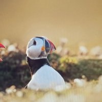 Не смей кричать на ребенка ! :: Валерий Кокорев