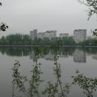 Головино весной :: Дмитрий Никитин