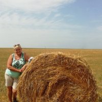 Сенокос :: Георгиевич Сенокос :: Георгиевич