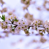 * :: Вадим 