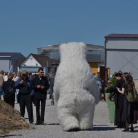 Не ждали. :: Константин Белоногов