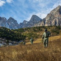 Где-то в горах Ингушетии :: Евгений Кель