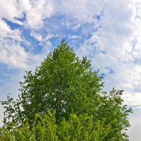 Витаем в облаках :: Светлана 