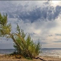 Осень :: **** vedin