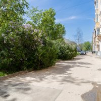Майская улица :: Александр Синдерёв