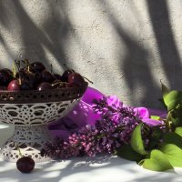*** :: Валентина Богатко *** :: Валентина Богатко